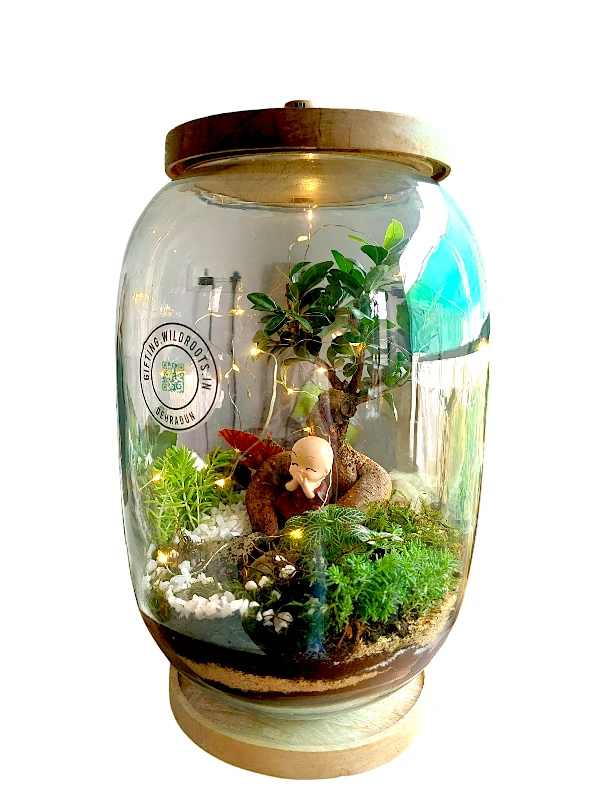 Bell Jar Bonsai Terrarium by wild roots for gifting and home decor