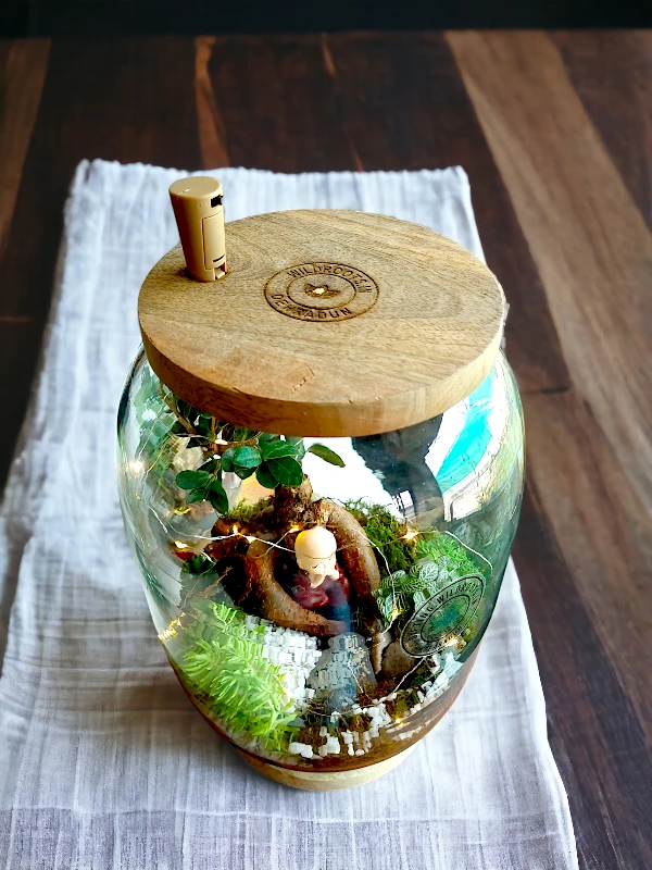 Bell Jar Bonsai Terrarium by wild roots for gifting and home decor