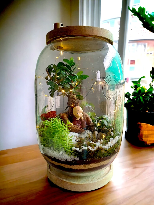 Bell Jar Bonsai Terrariumby wild roots for gifting and home decor