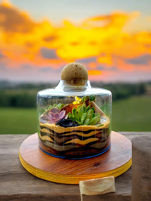 Volcano jar terrarium with lush green plants by Wildroots