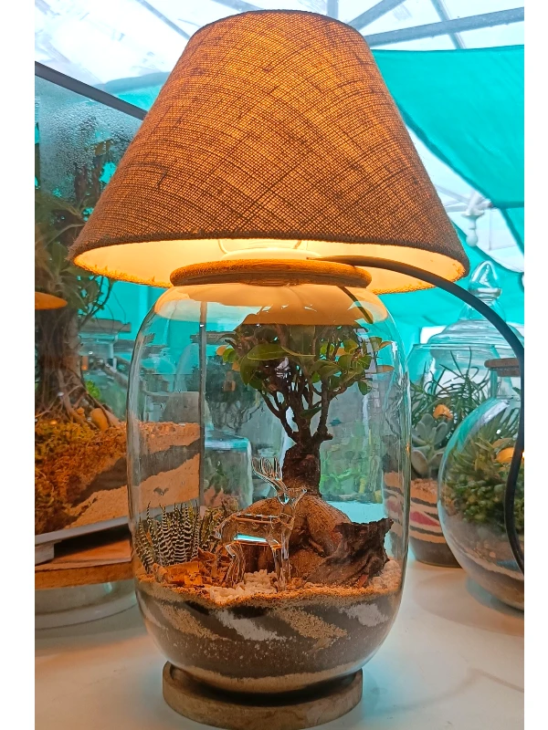 Bell jar lamp terrarium with plants and moss by Wildroots.