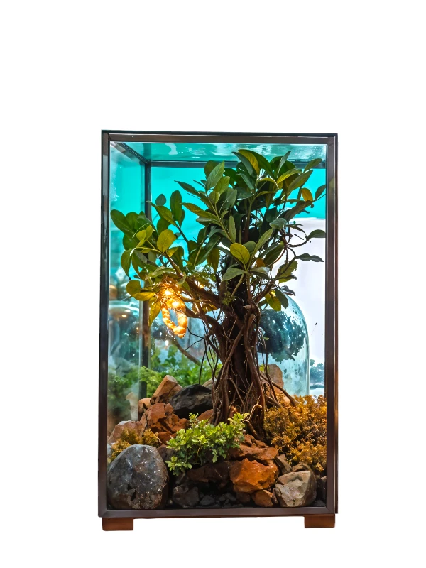 Cuboidal box bonsai terrarium by Wildroots featuring a lush bonsai tree, moss, driftwood, pebbles, succulents, and decorative elements like seashells and rocks, displayed in natural sunlight – perfect for home or office decor.