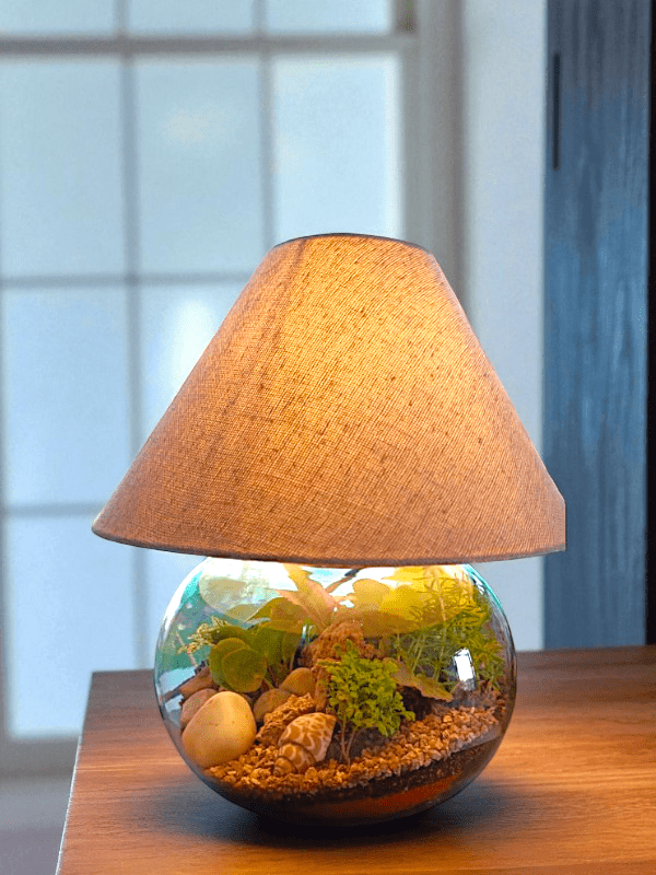 8 inch Fish Bowl Lamp Terrarium - Image 2