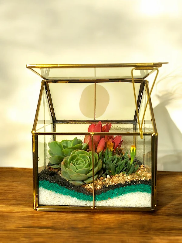 Glass Hut Terrarium from Wildroots with geometric glass design housing green succulents.