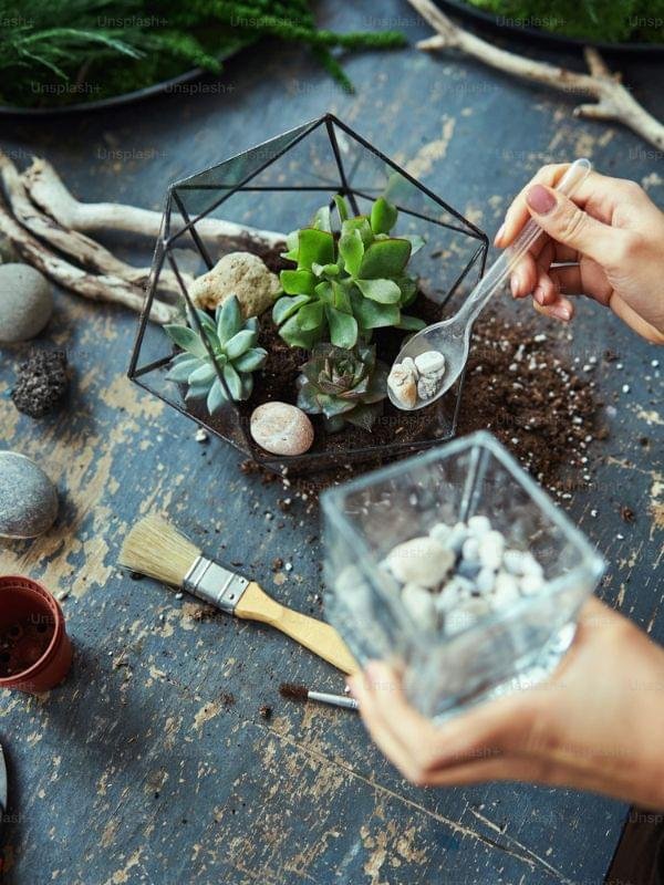 Terrarium making workshop by Wild Roots