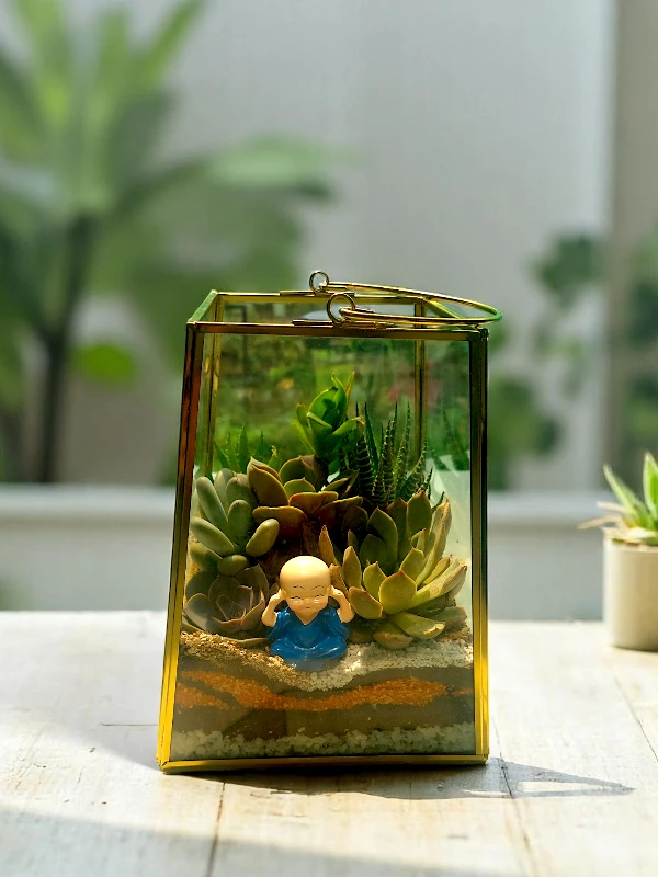 Quard lanter glass terrarium with succulents and moss by Wildroots