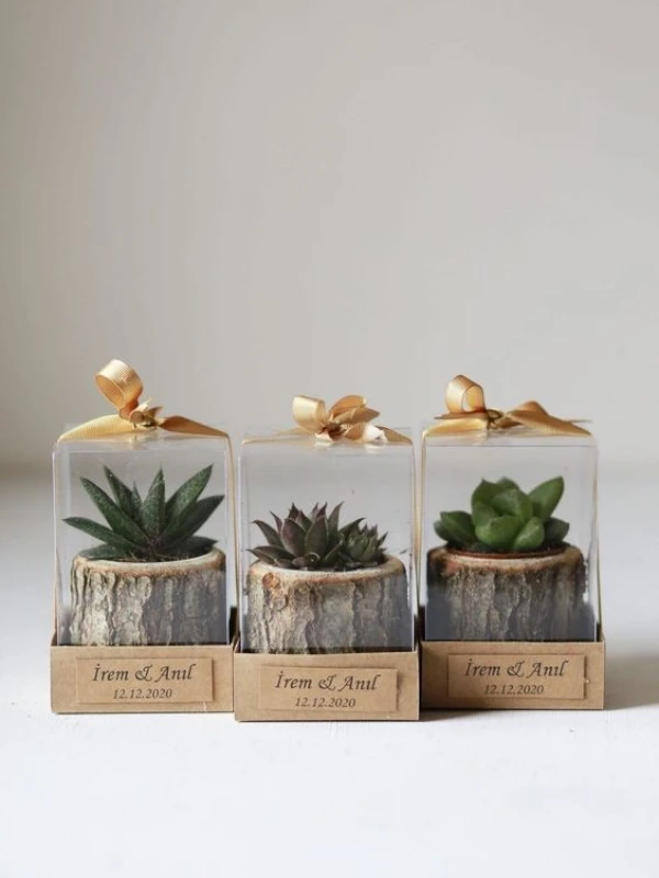 4x4 wooden log succulent planter by Wildroots with assorted live succulents